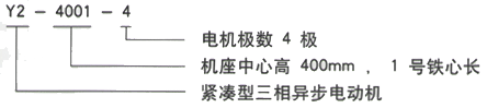 西安泰富西瑪Y2系列(H355-560)6KV緊湊型高壓異步電機(jī)西安西瑪電機(jī)型號說明 西安泰富西瑪Y2系列(H355-560)6KV緊湊型高壓異步電機(jī)西安西瑪電機(jī)型號說明